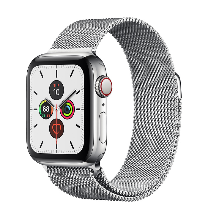 Часы Apple Watch Series 5 GPS + Cellular 40mm (MWWT2) (Stainless Steel Case with Milanese Loop Stainless Steel)