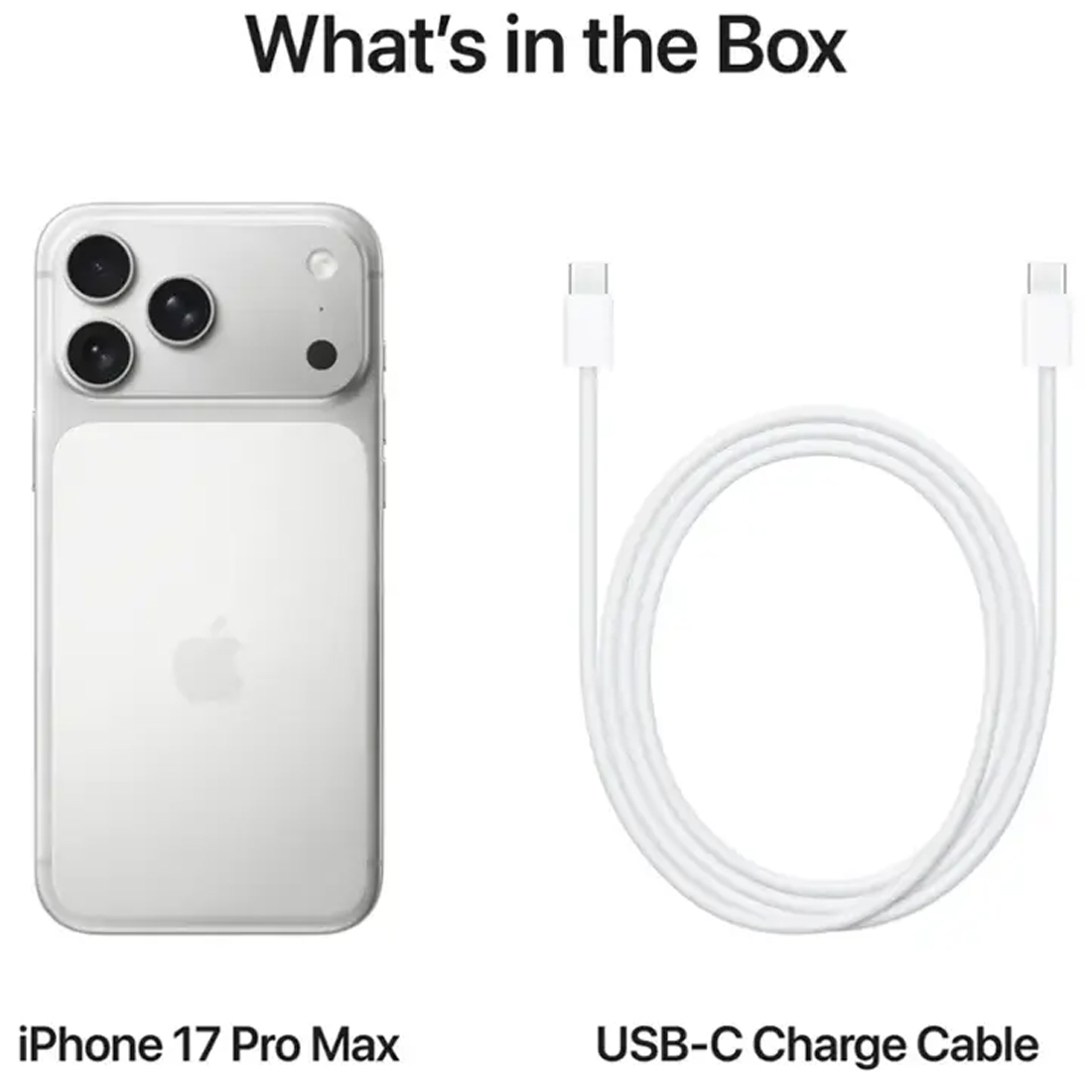 Смартфон Apple iPhone 17 Pro Max 2TB Silver (eSIM)