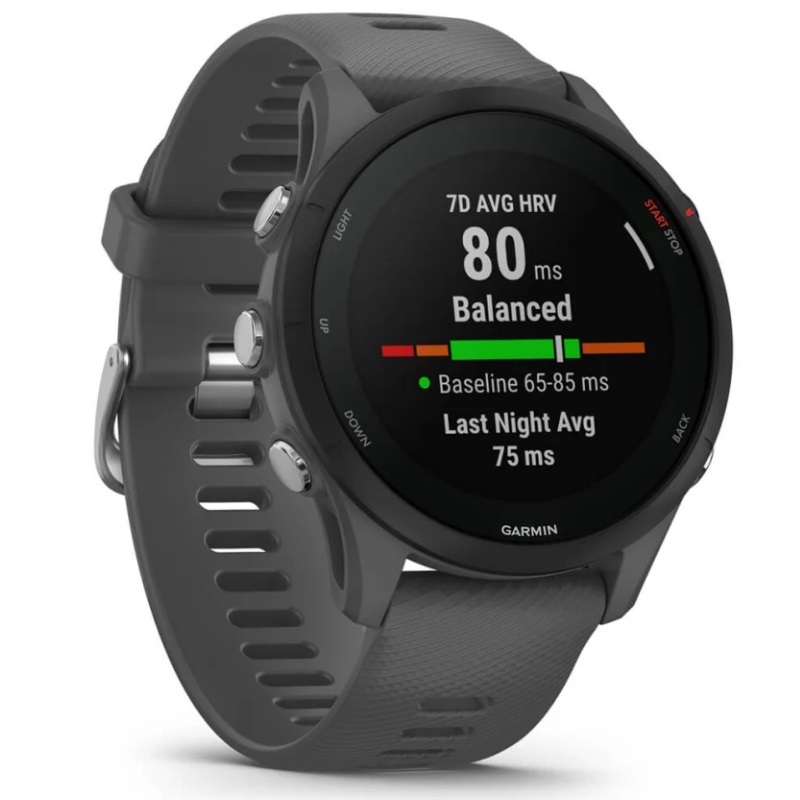 Умные часы Garmin Forerunner 255 Slate Gray (010-02641-10)