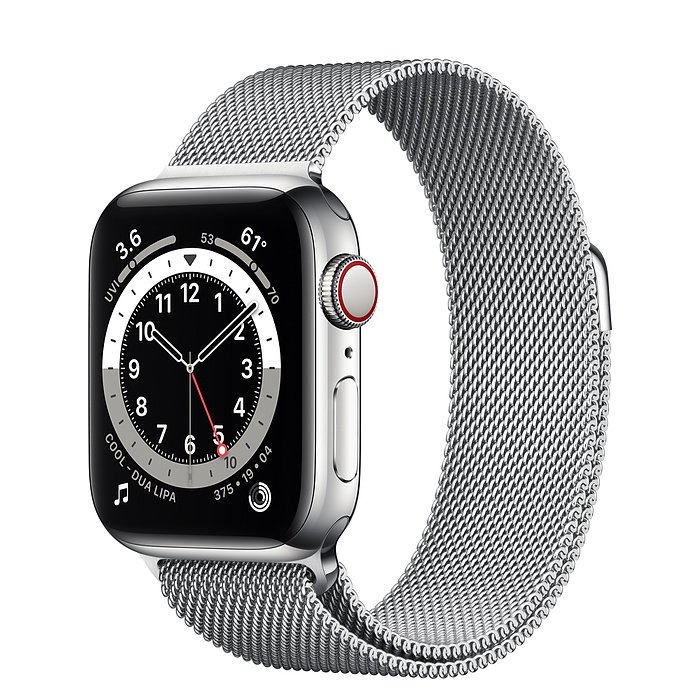 Часы Apple Watch Series 6 GPS + Cellular 40mm (M02V3) (Silver Stainless Steel Case with Milanese Loop)