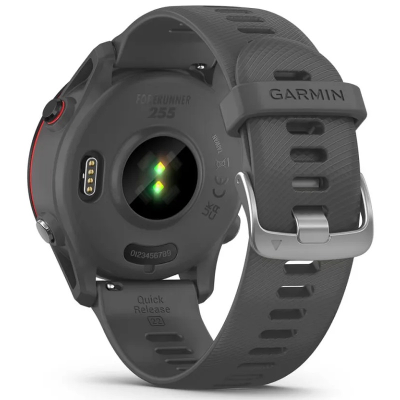 Умные часы Garmin Forerunner 255 Slate Gray (010-02641-10)