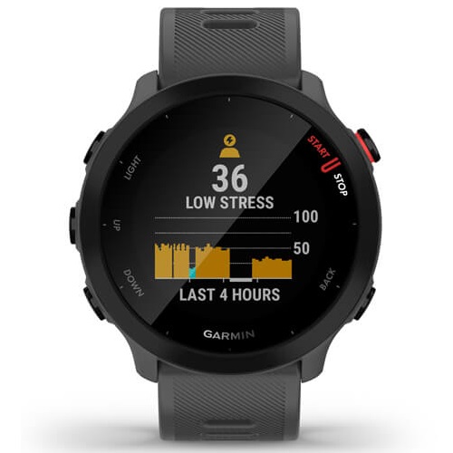 Умные часы Garmin Forerunner 55 Monterra Grey (010-02562-13)