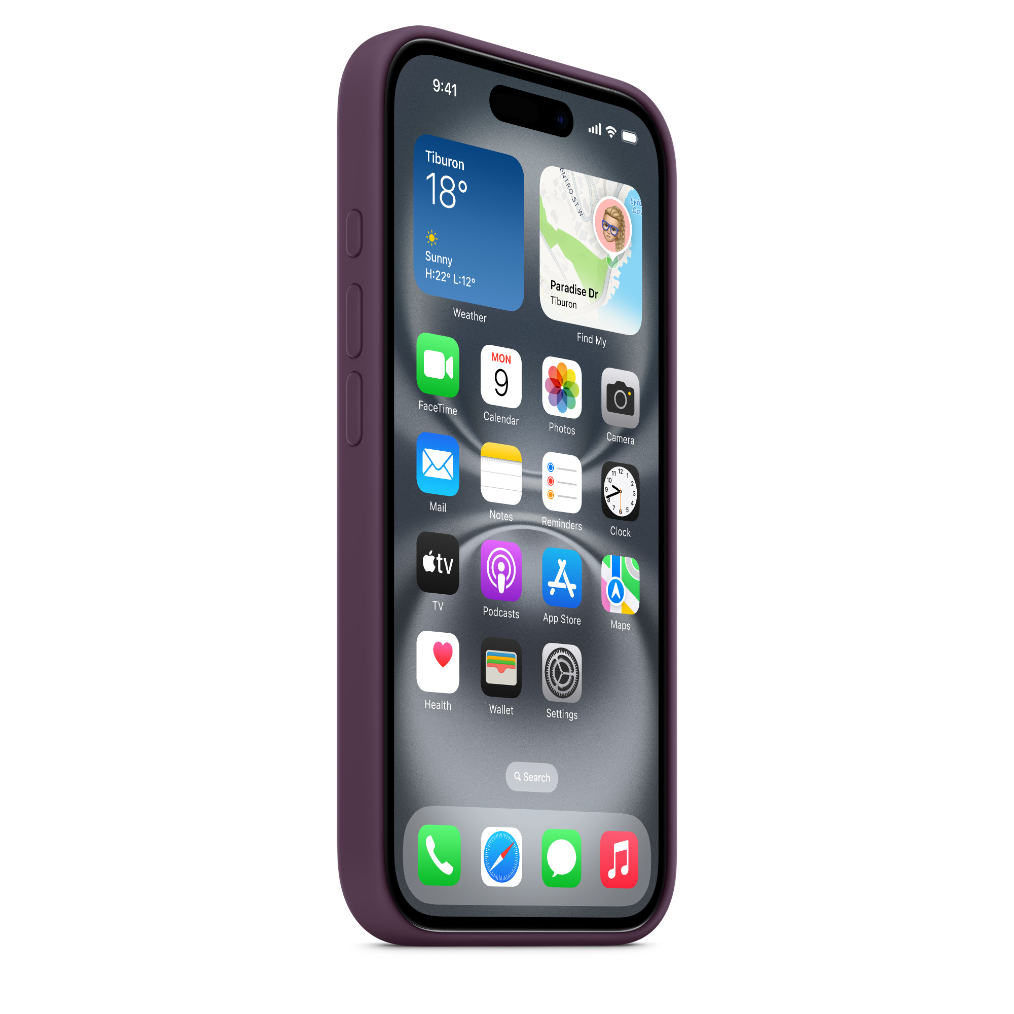 Силиконовый чехол Apple iPhone 16 Silicone Case with MagSafe – Plum (MYY43ZM/A)