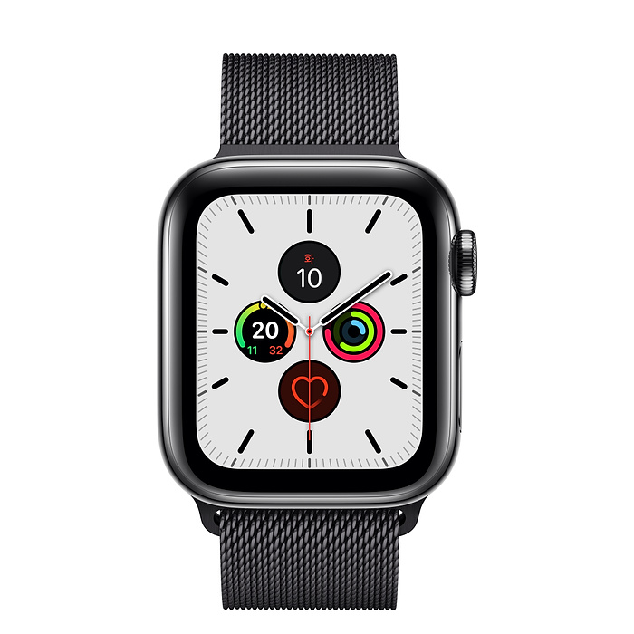Часы Apple Watch Series 5 GPS + Cellular 40mm (MWWX2) (Space Black Stainless Steel Case with Space Black Milanese Loop)
