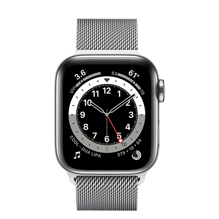 Часы Apple Watch Series 6 GPS + Cellular 40mm (M02V3) (Silver Stainless Steel Case with Milanese Loop)