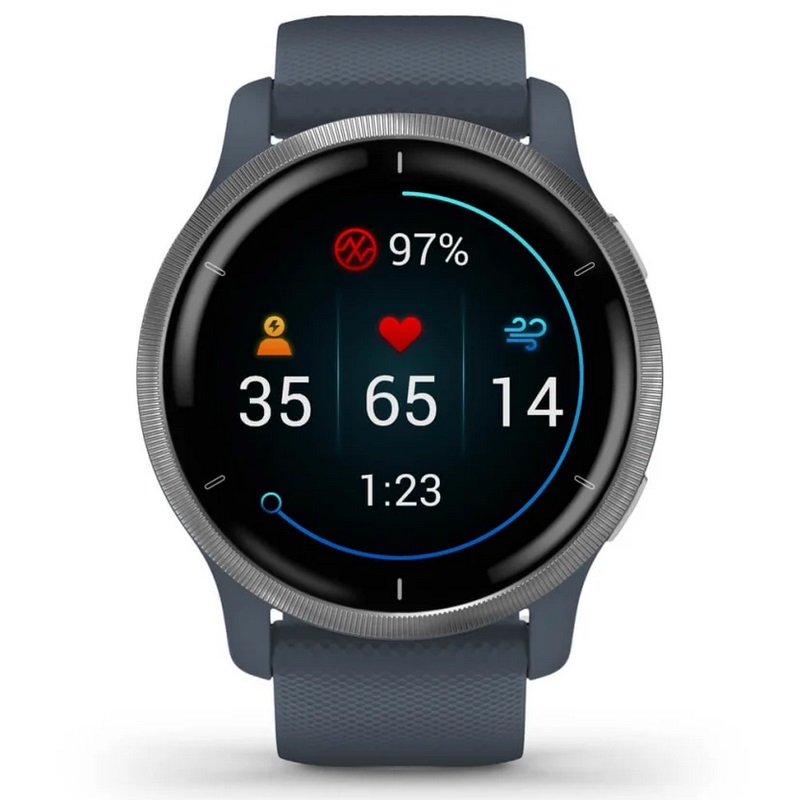 Умные часы Garmin Venu 2 Silver stainless steel bezel with Granite blue case and Silicone band (010-02430-10)