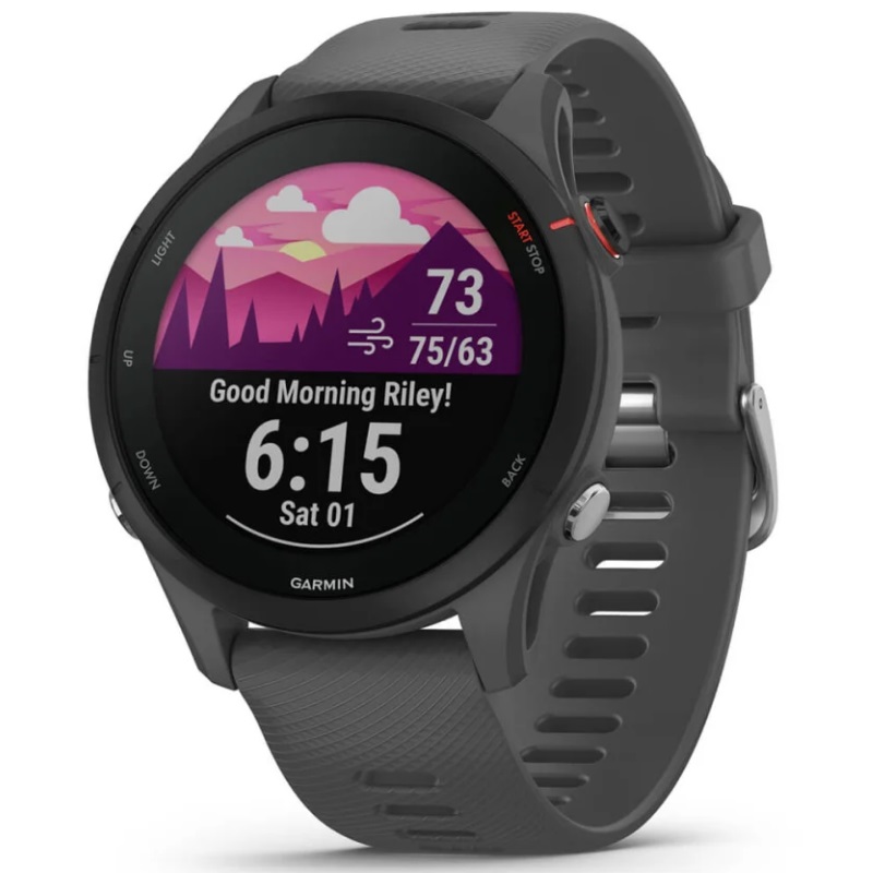 Умные часы Garmin Forerunner 255 Slate Gray (010-02641-10)