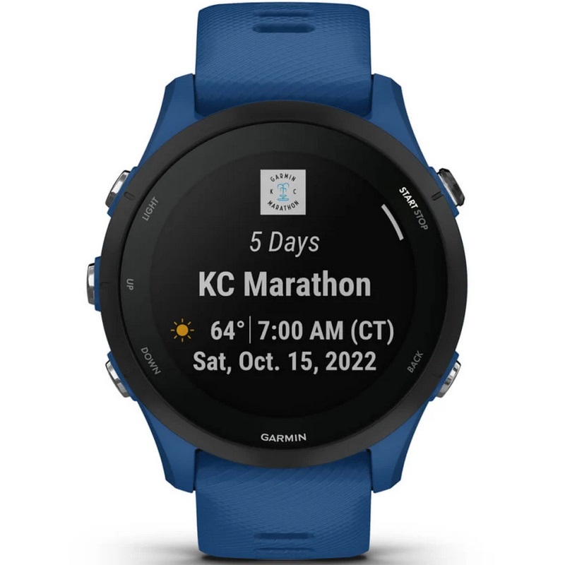 Умные часы Garmin Forerunner 255 Tidal Blue (010-02641-11)