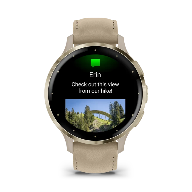 Умные часы Garmin Venu 3S Soft gold stainless steel bezel with French grey case and leather band (010-02785-55)