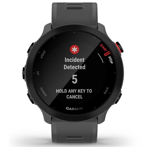 Умные часы Garmin Forerunner 55 Monterra Grey (010-02562-13)