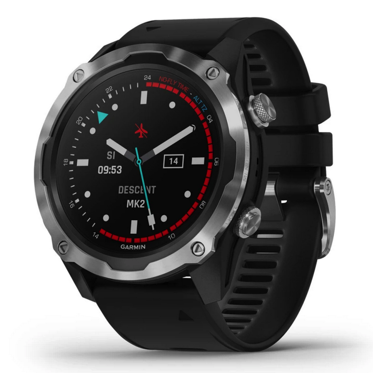 Умные часы Garmin Descent Mk2 Stainless Steel with Black Band (010-02132-10)