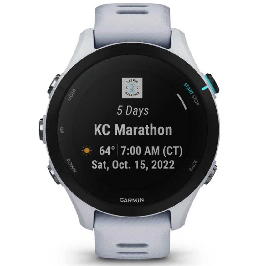 Умные часы Garmin Forerunner 255S Music Whitestone (010-02641-33)