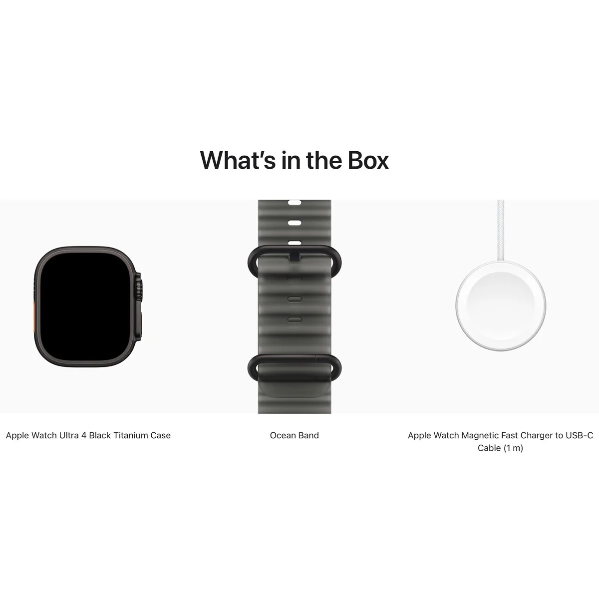 Умные часы Apple Watch Ultra 4 GPS + Cellular, 49mm Black Titanium Case with Translucent Black Ocean Band