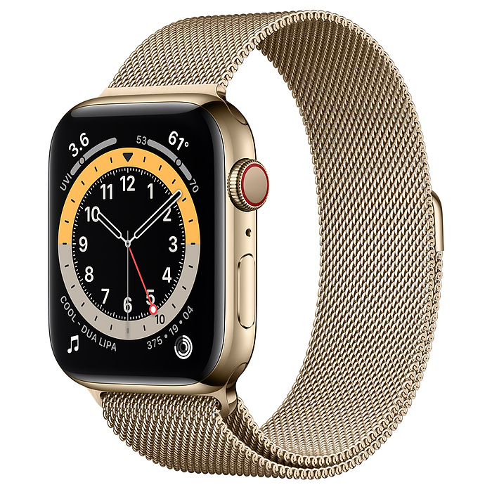 Часы Apple Watch Series 6 GPS + Cellular 44mm (M07P3) (Gold Stainless Steel Case with Gold Milanese Loop)
