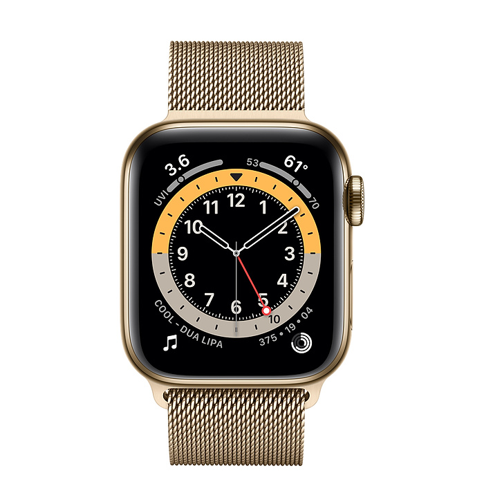 Часы Apple Watch Series 6 GPS + Cellular 40mm (M02X3) (Gold Stainless Steel Case with Gold Milanese Loop)